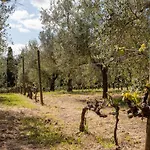 Marsiliana By Interhome Willa